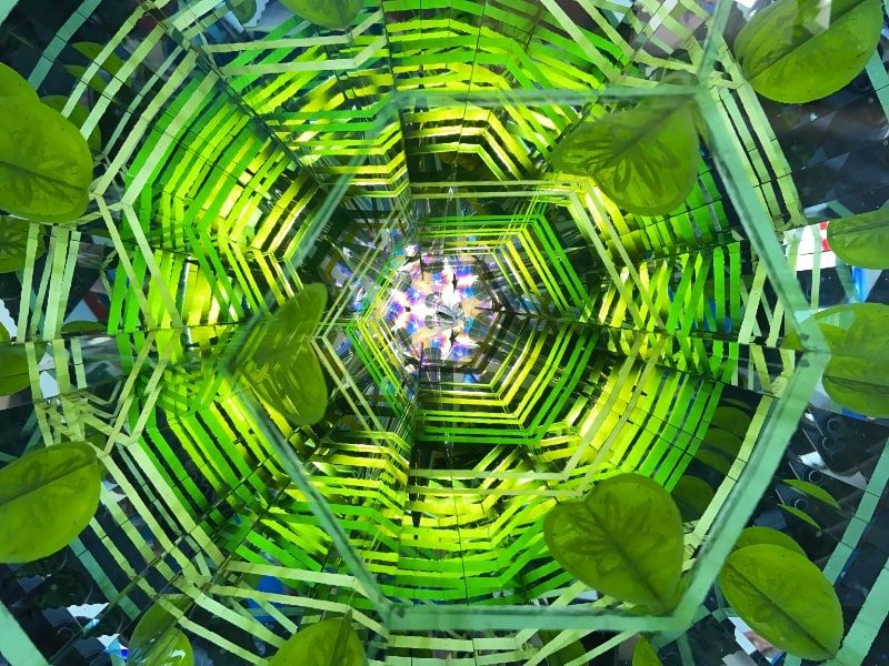 Stella Pistoribus - Imagen 3